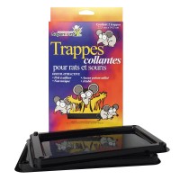 TRAPPES COLLANTES RATS ET SOURIS #12402