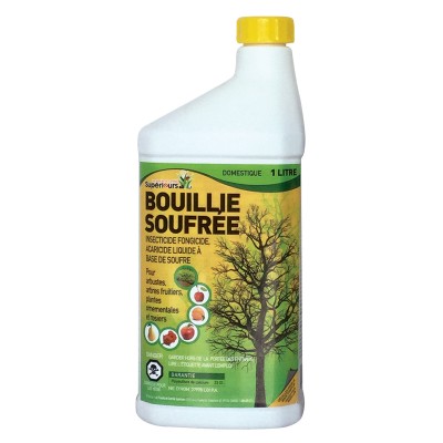 375_F_Bouillie1LSup.jpg
