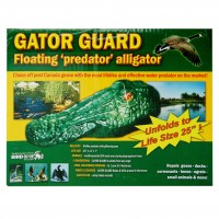 ALLIGATOR X999